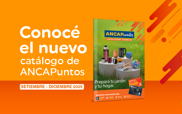 salida catálogo